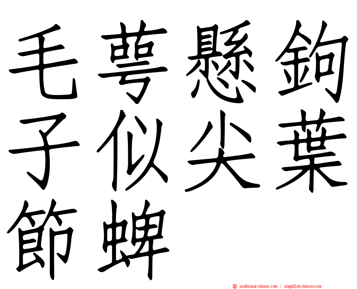 毛萼懸鉤子似尖葉節蜱