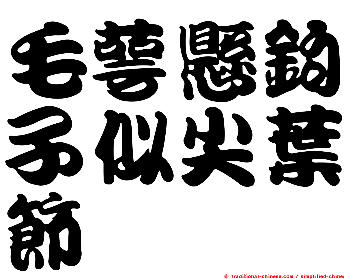 毛萼懸鉤子似尖葉節蜱