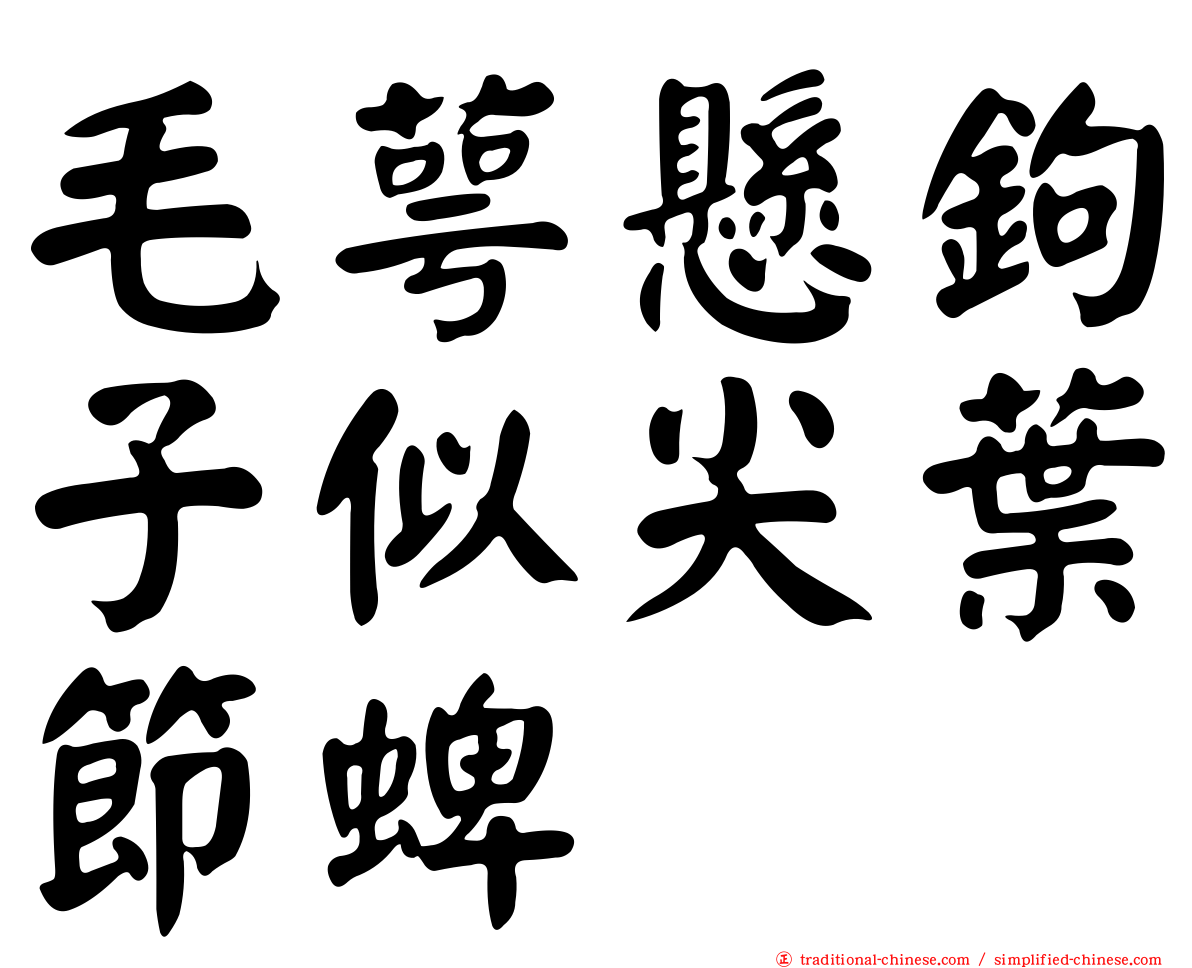 毛萼懸鉤子似尖葉節蜱