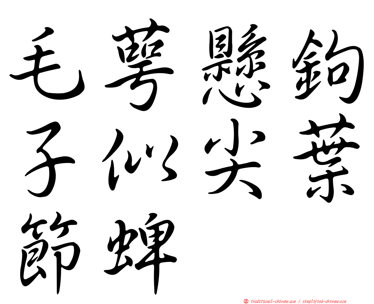 毛萼懸鉤子似尖葉節蜱