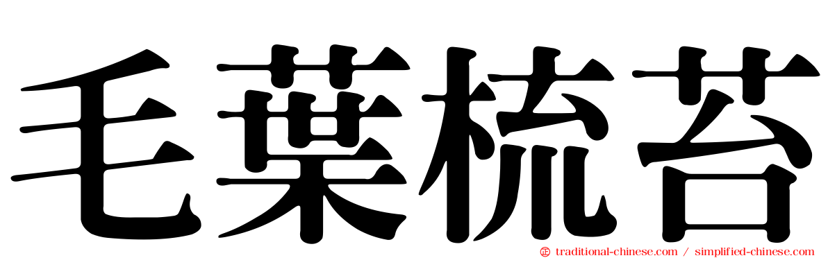 毛葉梳苔