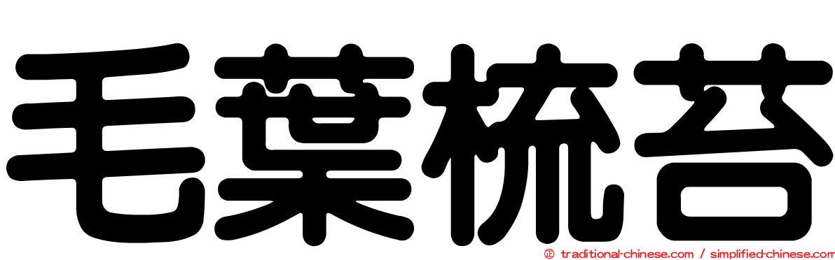 毛葉梳苔