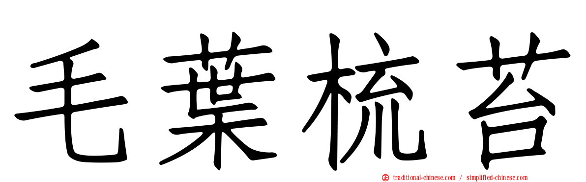 毛葉梳苔