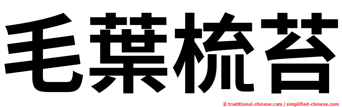 毛葉梳苔