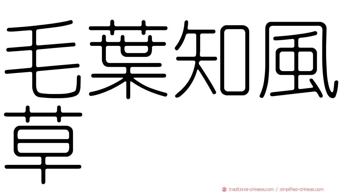 毛葉知風草