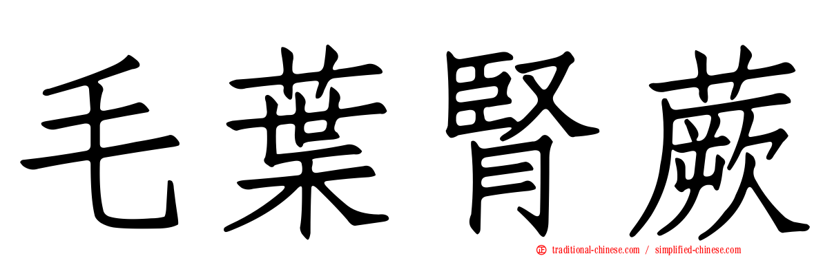 毛葉腎蕨