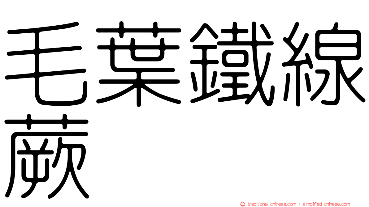 毛葉鐵線蕨