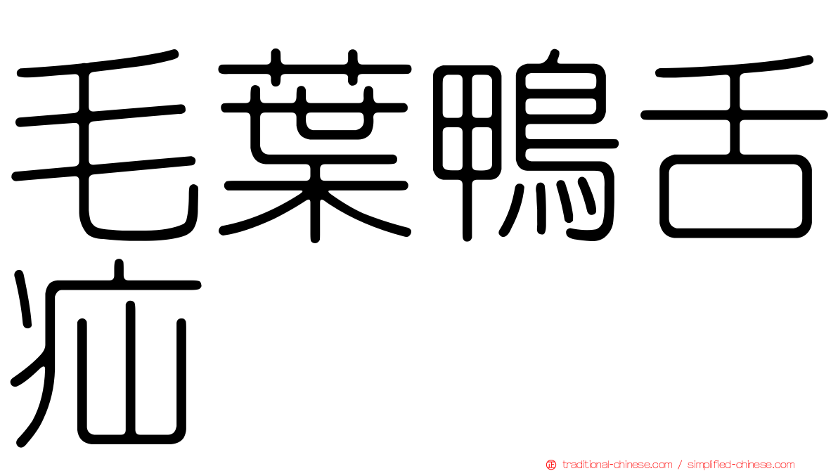毛葉鴨舌疝