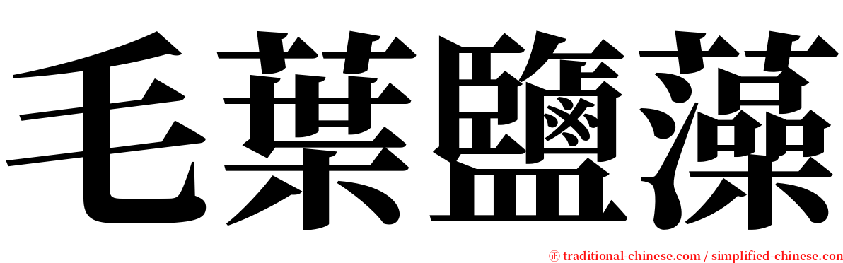 毛葉鹽藻 serif font