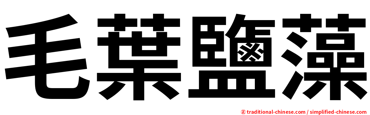 毛葉鹽藻