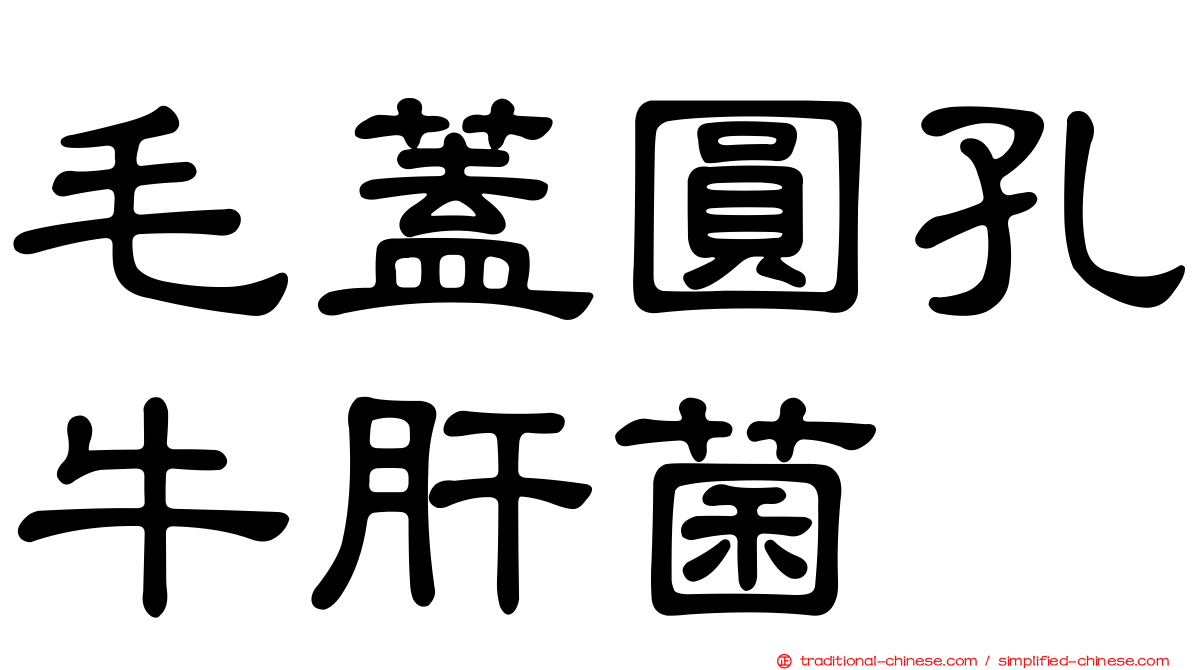 毛蓋圓孔牛肝菌