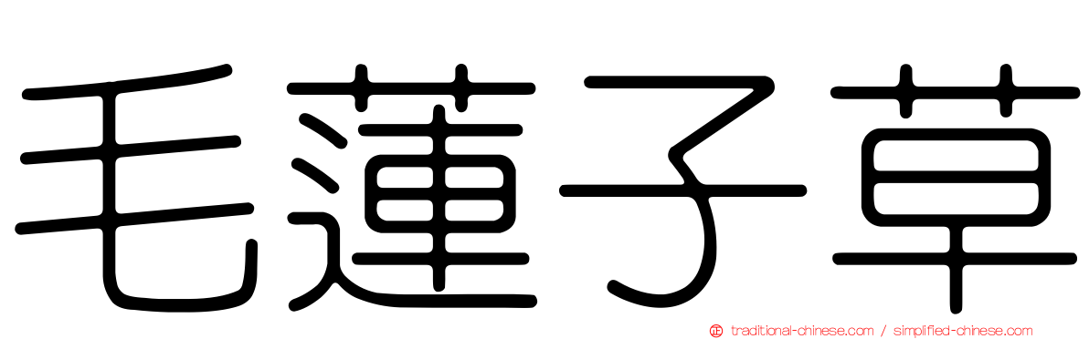 毛蓮子草