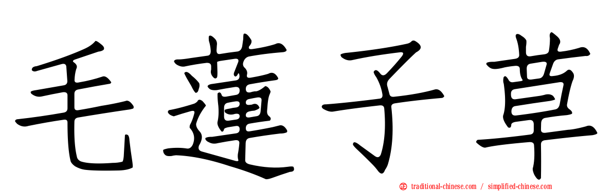 毛蓮子草