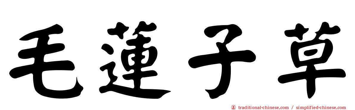 毛蓮子草