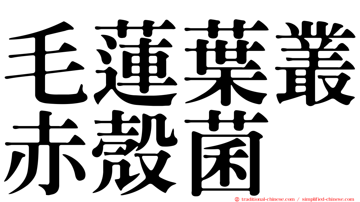 毛蓮葉叢赤殼菌