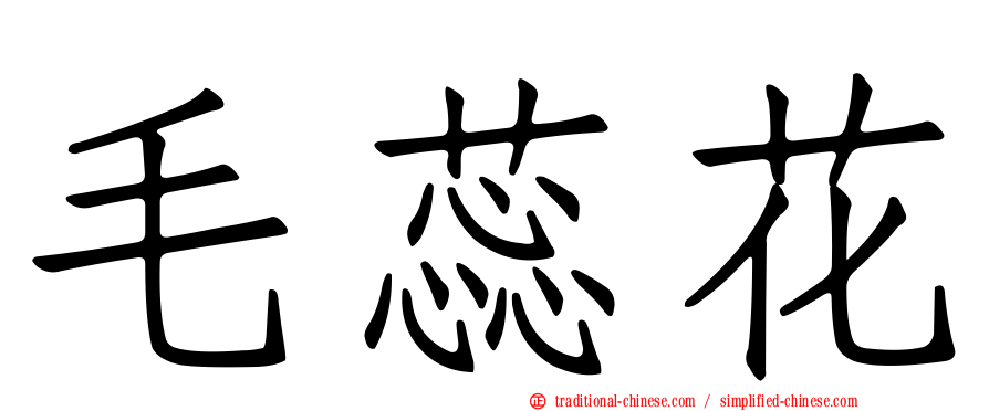 毛蕊花