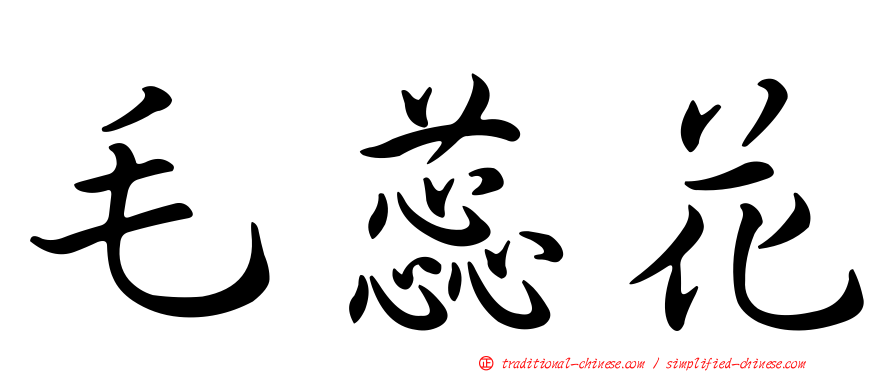 毛蕊花