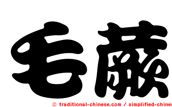 毛蕨