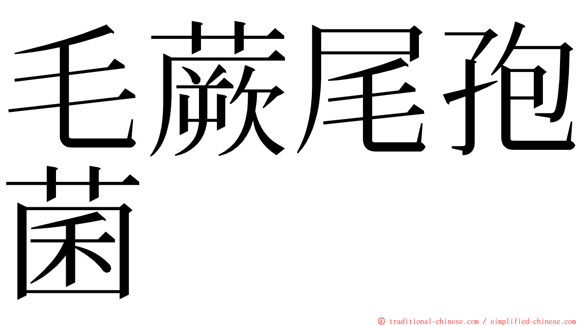 毛蕨尾孢菌 ming font