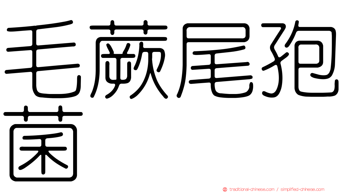 毛蕨尾孢菌