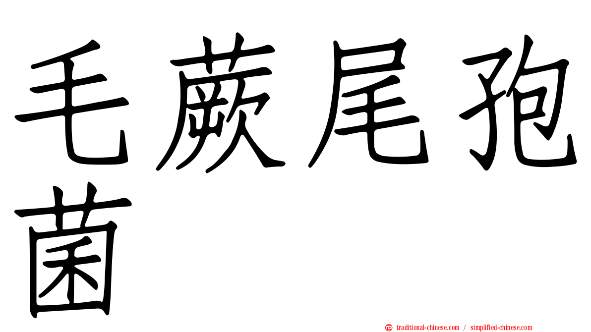 毛蕨尾孢菌