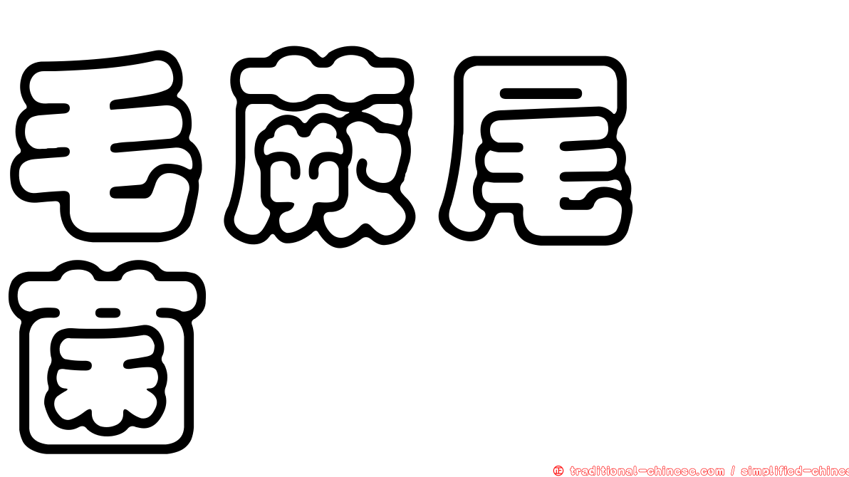 毛蕨尾孢菌