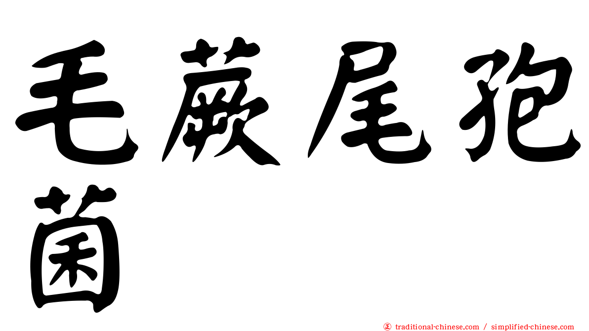 毛蕨尾孢菌