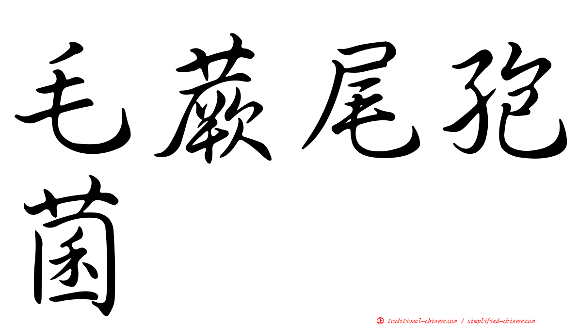 毛蕨尾孢菌