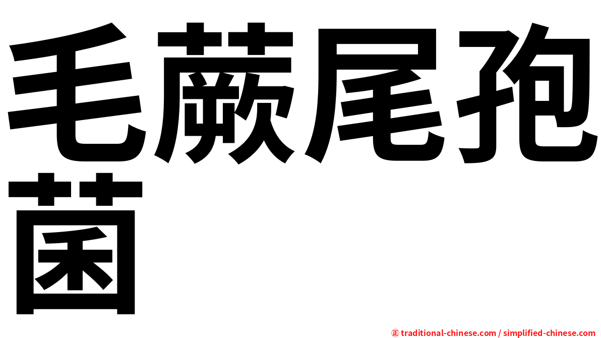 毛蕨尾孢菌