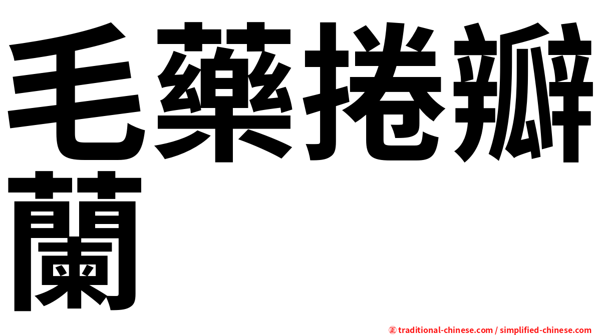 毛藥捲瓣蘭