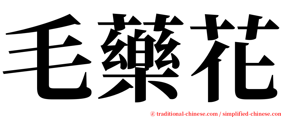 毛藥花 serif font