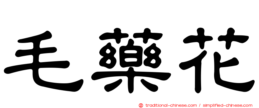 毛藥花
