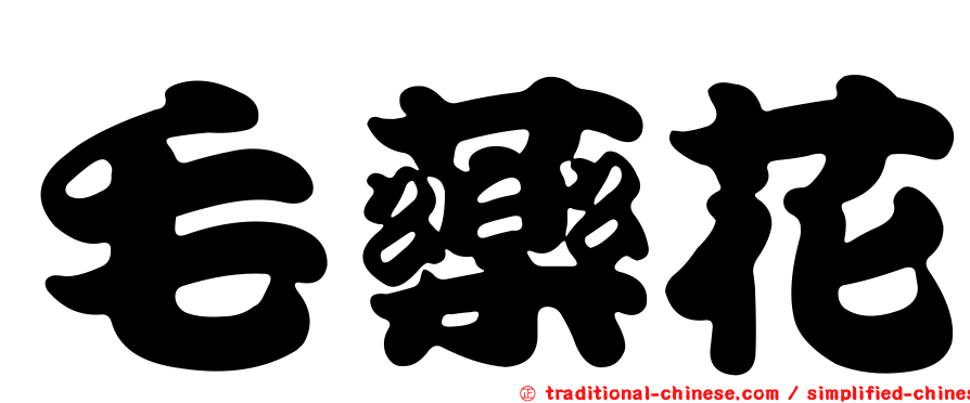 毛藥花
