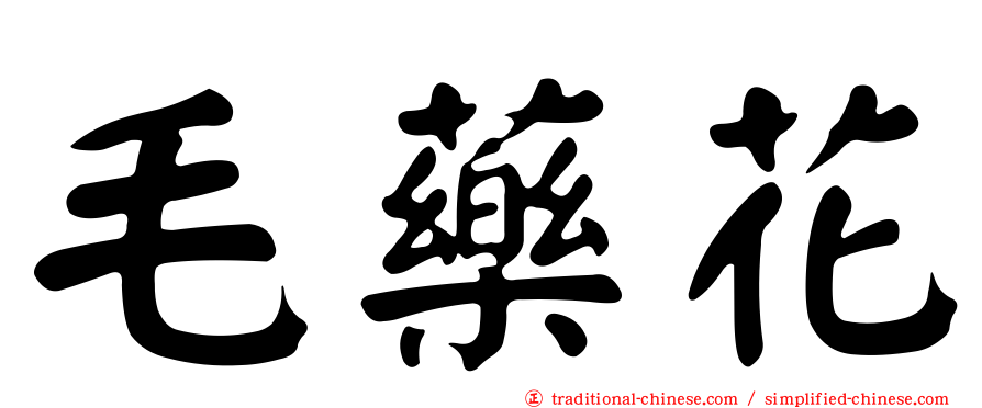 毛藥花
