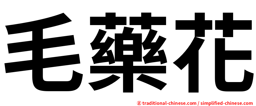 毛藥花