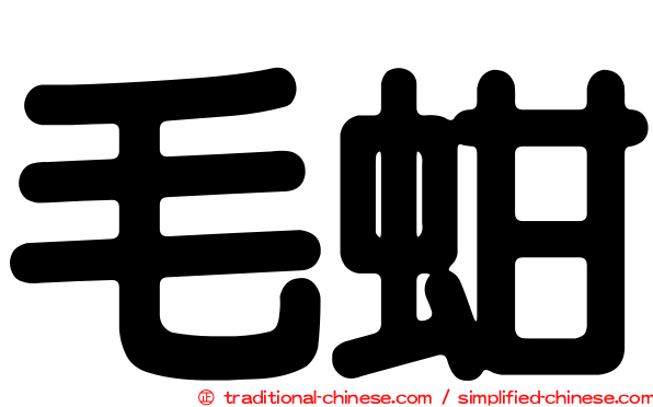 毛蚶