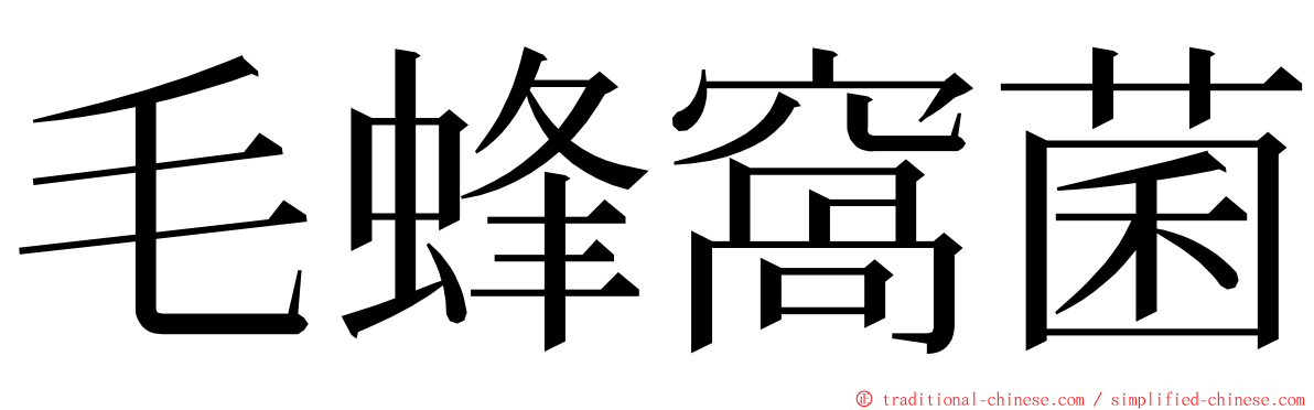毛蜂窩菌 ming font