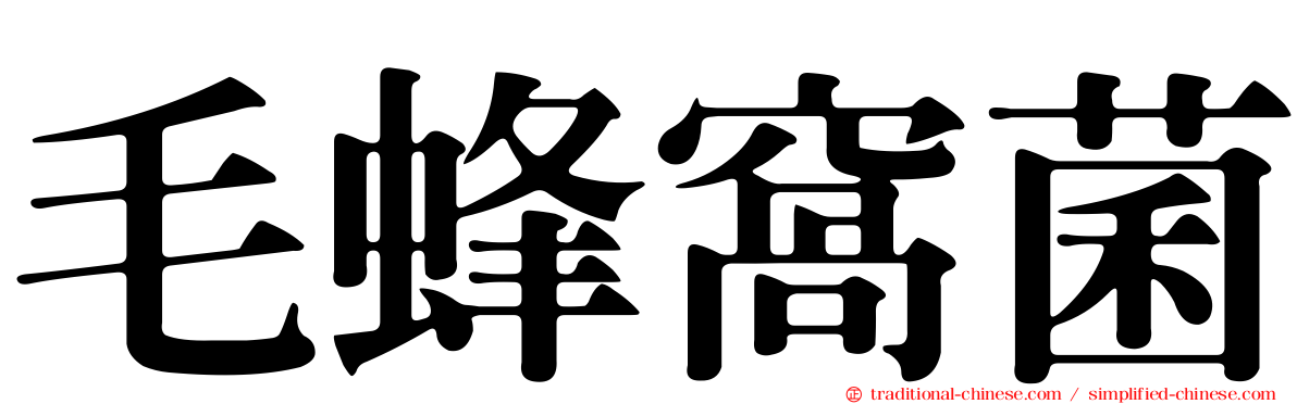 毛蜂窩菌