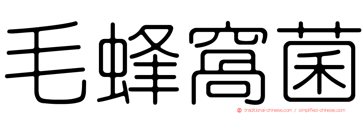 毛蜂窩菌