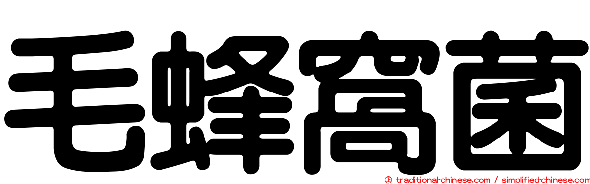 毛蜂窩菌