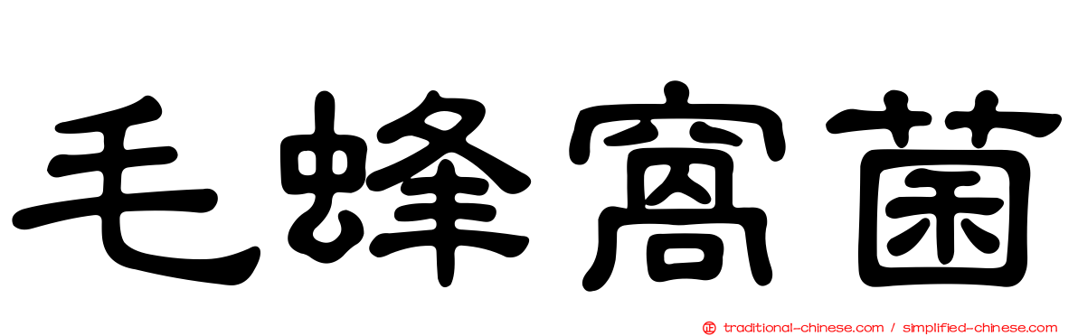 毛蜂窩菌