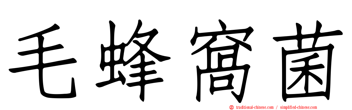 毛蜂窩菌