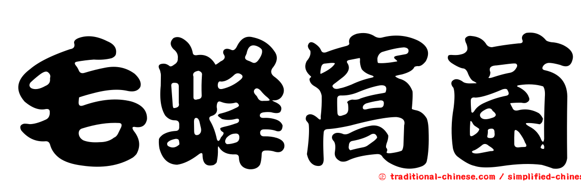 毛蜂窩菌