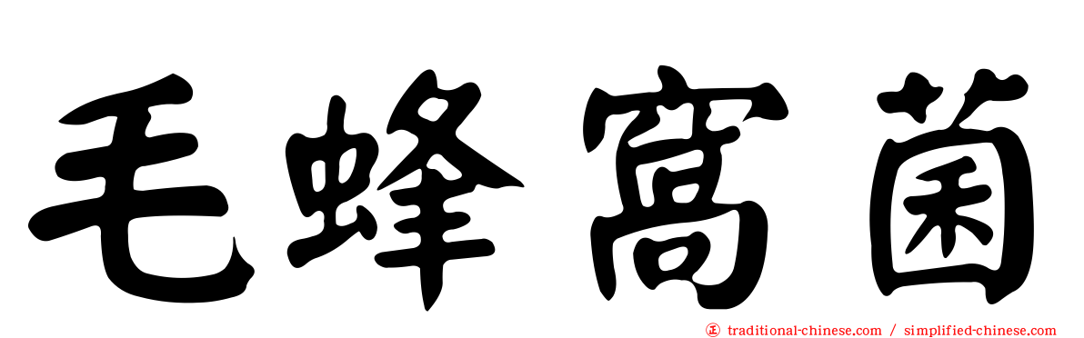 毛蜂窩菌