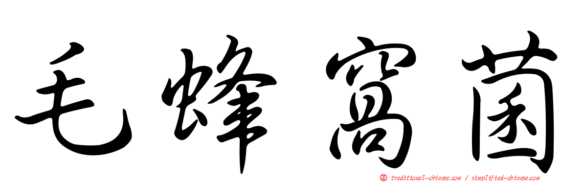 毛蜂窩菌