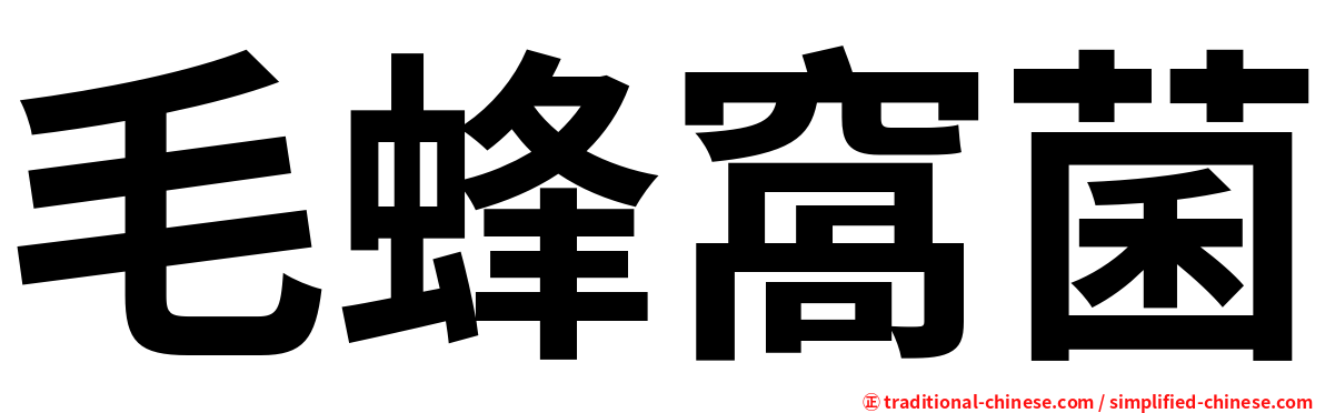 毛蜂窩菌
