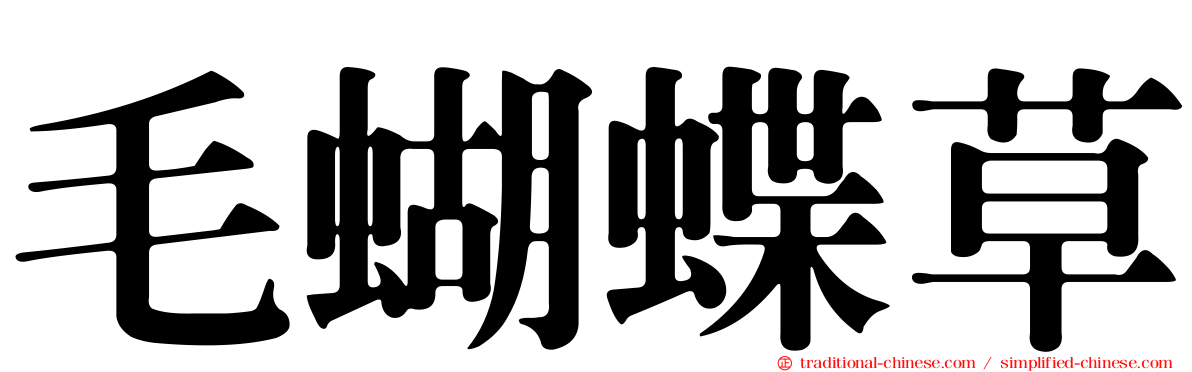 毛蝴蝶草