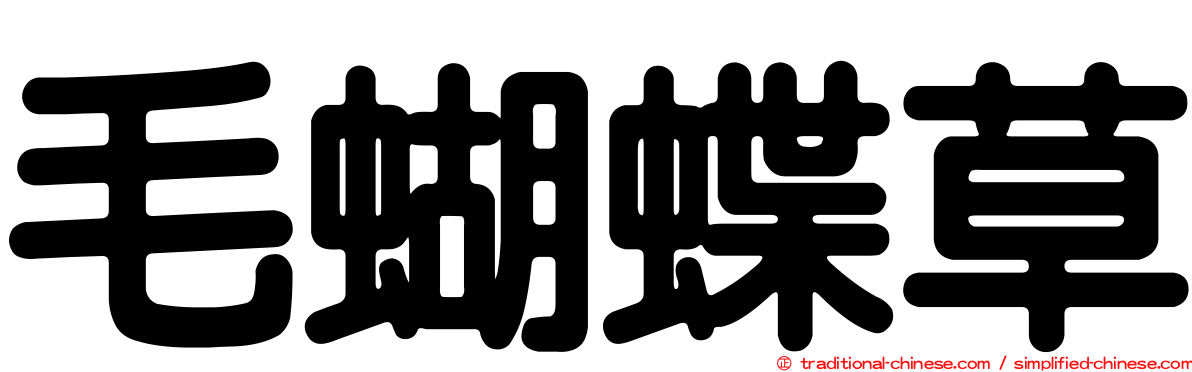 毛蝴蝶草