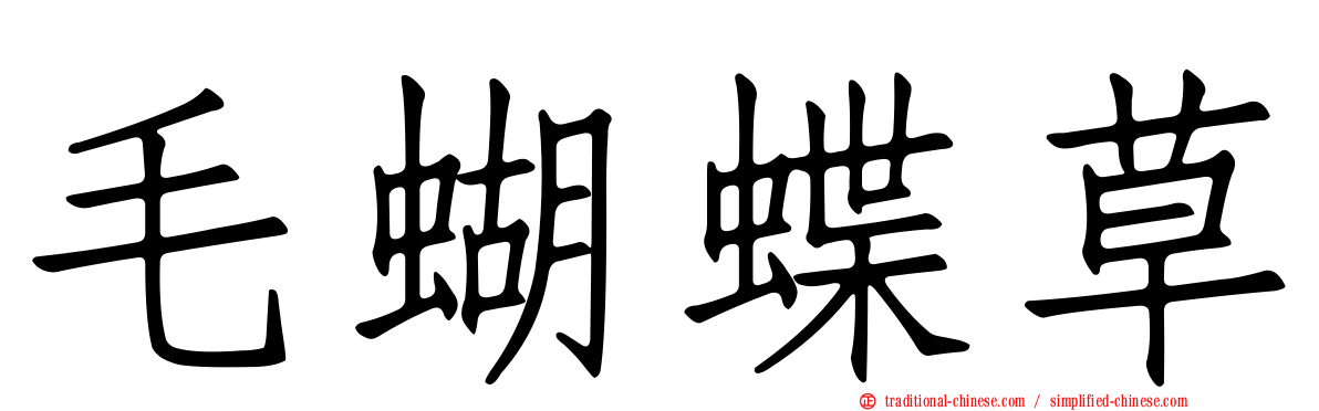 毛蝴蝶草