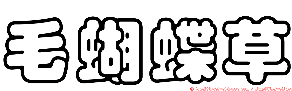 毛蝴蝶草
